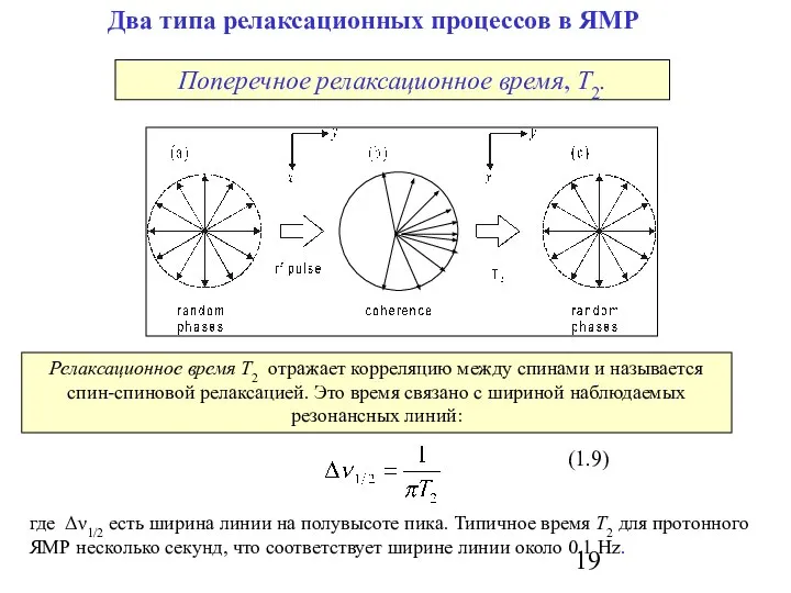 Два типа релаксационных процессов в ЯМР где Δν1/2 есть ширина линии