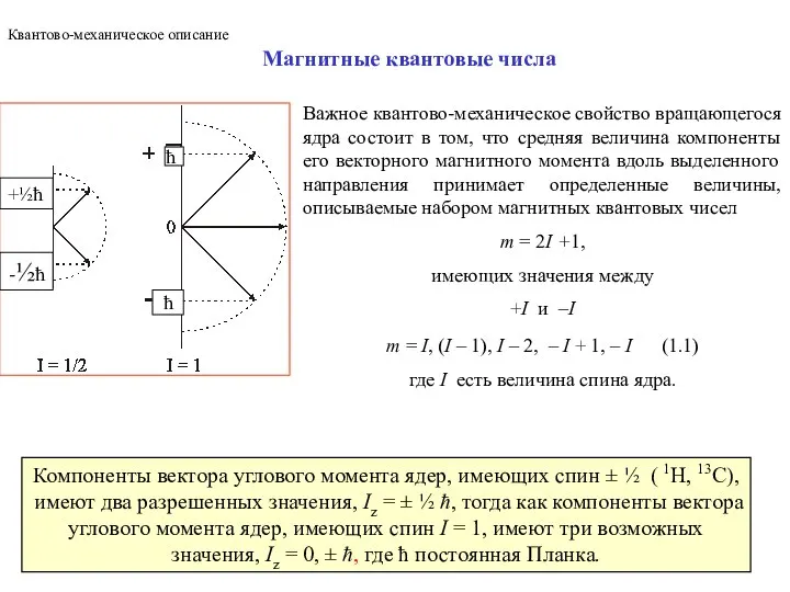 Магнитные квантовые числа Важное квантово-механическое свойство вращающегося ядра состоит в том,