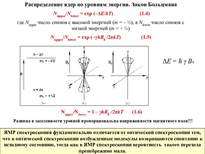 Распределение ядер по уровням энергии. Закон Больцмана Nupper/Nlower = exp (–ΔE/kT)