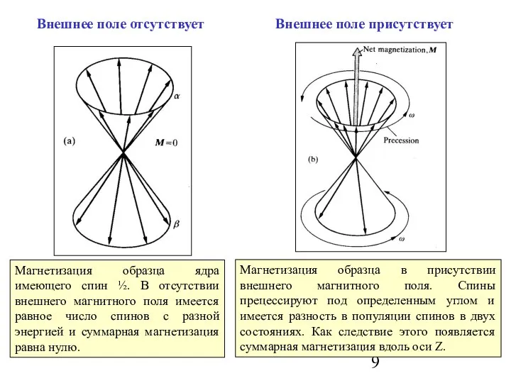 Магнетизация образца ядра имеющего спин ½. В отсутствии внешнего магнитного поля