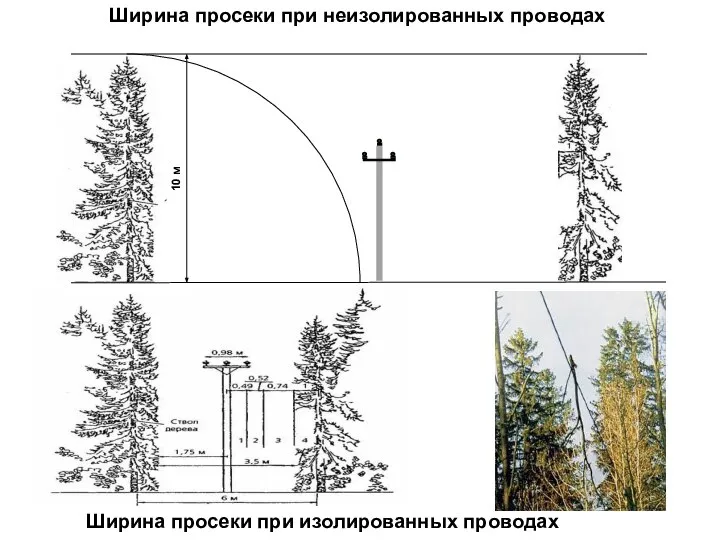 Ширина просеки при неизолированных проводах Ширина просеки при изолированных проводах