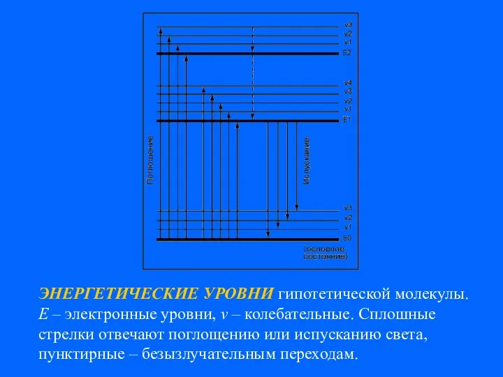 ЭНЕРГЕТИЧЕСКИЕ УРОВНИ гипотетической молекулы. E – электронные уровни, v – колебательные.