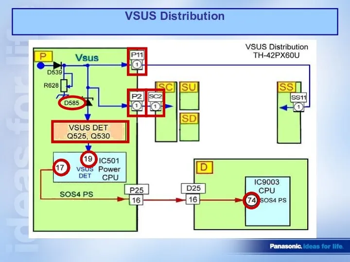 VSUS Distribution