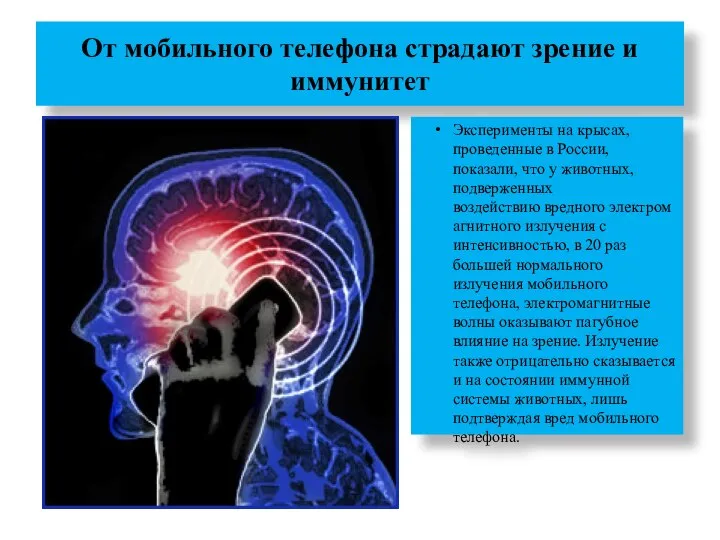 От мобильного телефона страдают зрение и иммунитет Эксперименты на крысах, проведенные