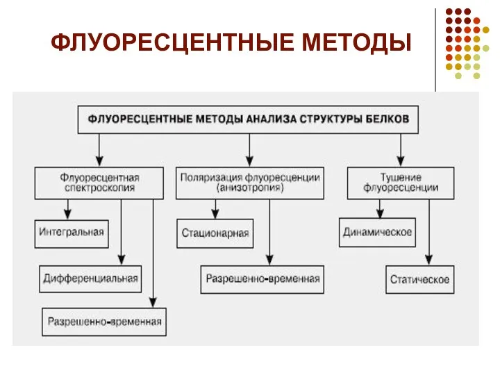 ФЛУОРЕСЦЕНТНЫЕ МЕТОДЫ