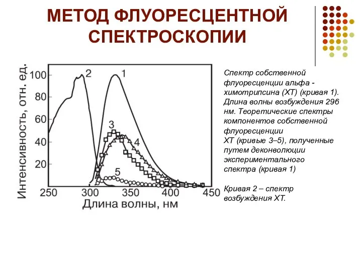 МЕТОД ФЛУОРЕСЦЕНТНОЙ СПЕКТРОСКОПИИ Спектр собственной флуоресценции альфа -химотрипсина (ХТ) (кривая 1).