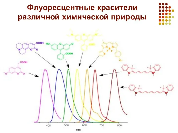 Флуоресцентные красители различной химической природы