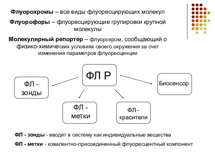 Флуорохромы – все виды флуоресцирующих молекул Флуорофоры – флуоресцирующие групировки крупной