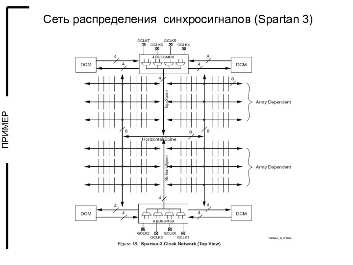 Сеть распределения синхросигналов (Spartan 3)