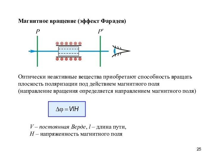 Магнитное вращение (эффект Фарадея) Оптически неактивные вещества приобретают способность вращать плоскость