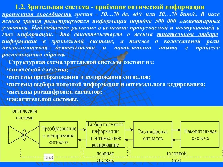 1.2. Зрительная система - приёмник оптической информации Структурная схема зрительной системы