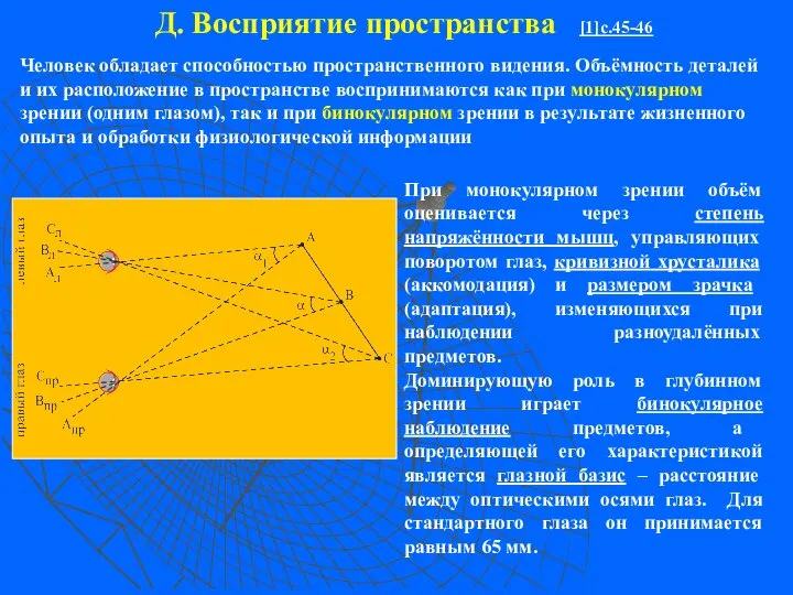 Д. Восприятие пространства [1]c.45-46 При монокулярном зрении объём оценивается через степень