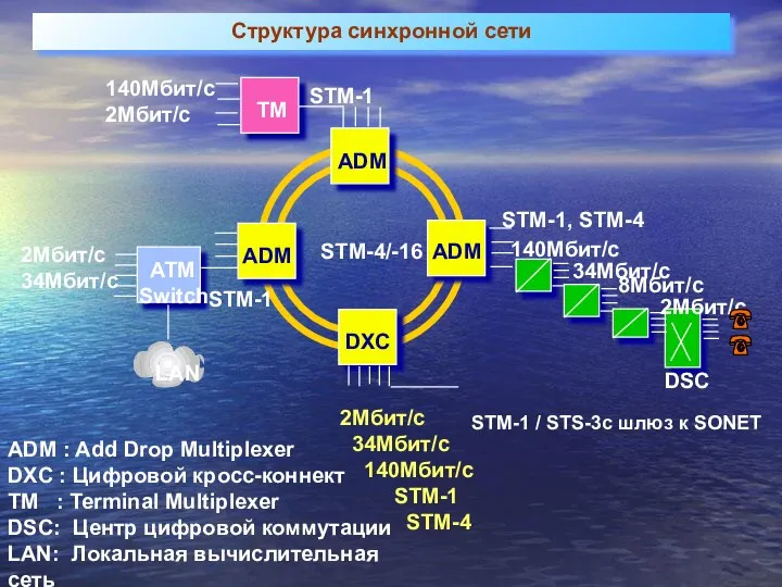 2Мбит/с 34Мбит/с 140Мбит/с STM-1 STM-4 STM-1 / STS-3c шлюз к SONET