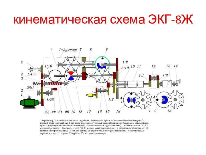 кинематическая схема ЭКГ-8Ж