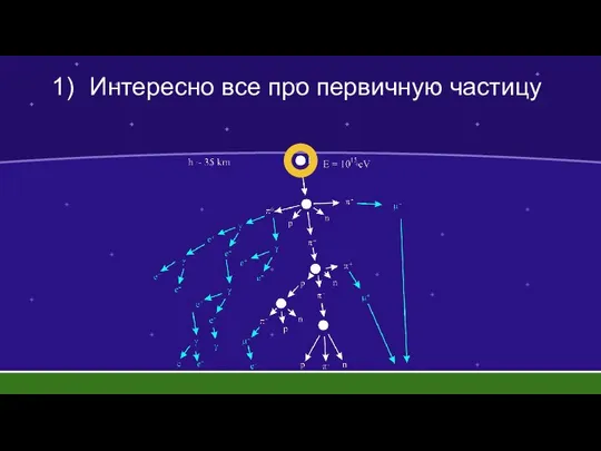 Интересно все про первичную частицу