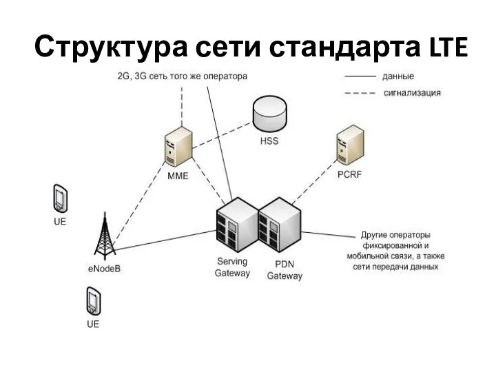 Структура сети стандарта LTE
