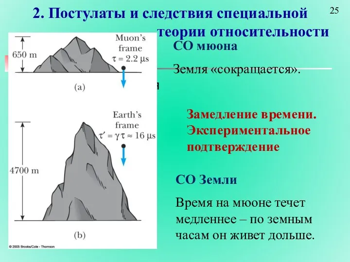 2. Постулаты и следствия специальной теории относительности СО мюона Земля сокращается