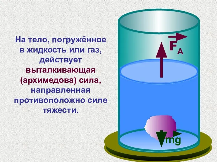 На тело, погружённое в жидкость или газ, действует выталкивающая (архимедова) сила, направленная противоположно силе тяжести.