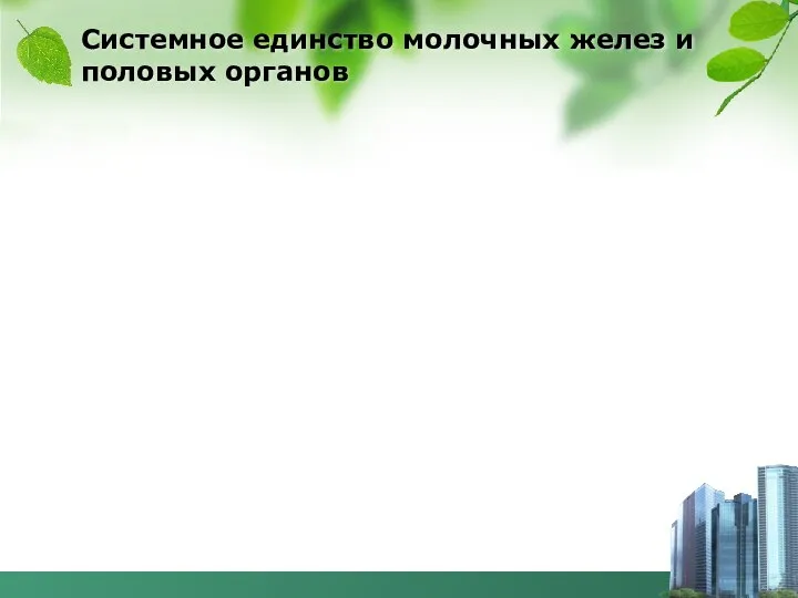 Системное единство молочных желез и половых органов