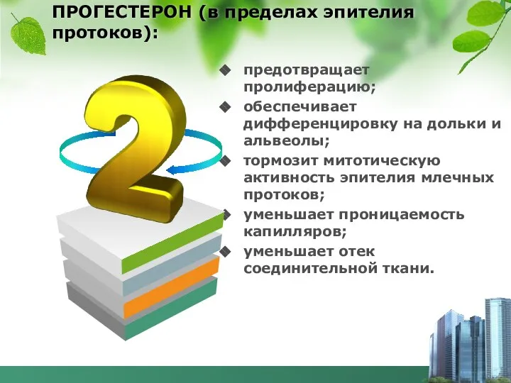 ПРОГЕСТЕРОН (в пределах эпителия протоков): предотвращает пролиферацию; обеспечивает дифференцировку на дольки