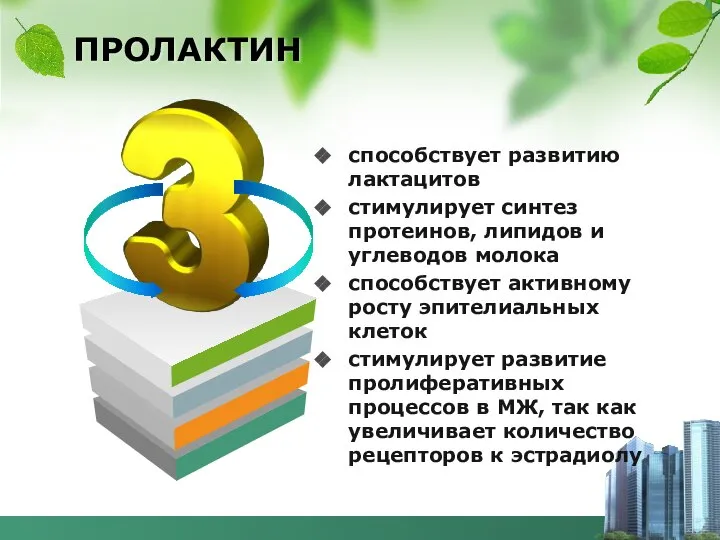 ПРОЛАКТИН способствует развитию лактацитов стимулирует синтез протеинов, липидов и углеводов молока