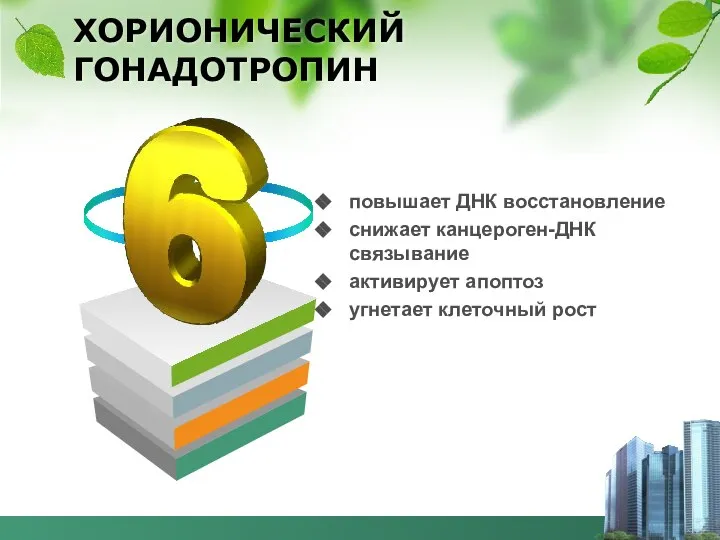 ХОРИОНИЧЕСКИЙ ГОНАДОТРОПИН повышает ДНК восстановление снижает канцероген-ДНК связывание активирует апоптоз угнетает клеточный рост