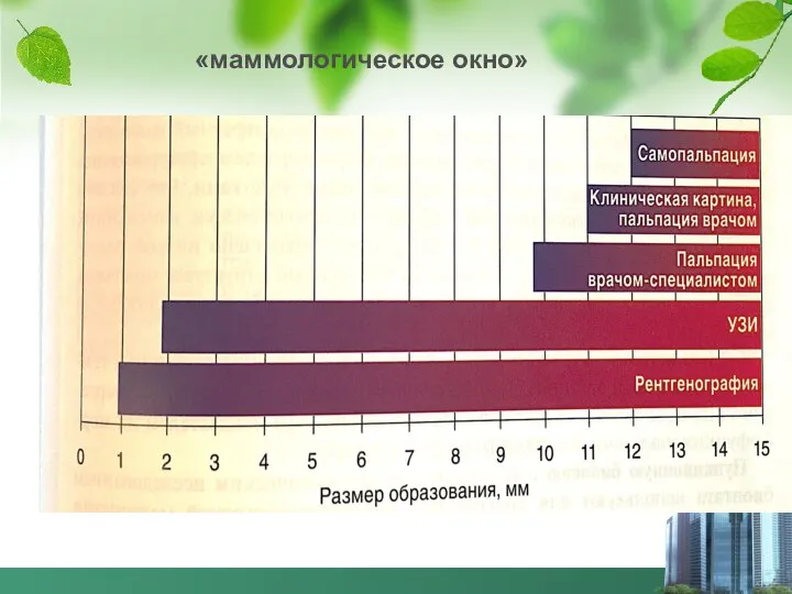 «маммологическое окно»