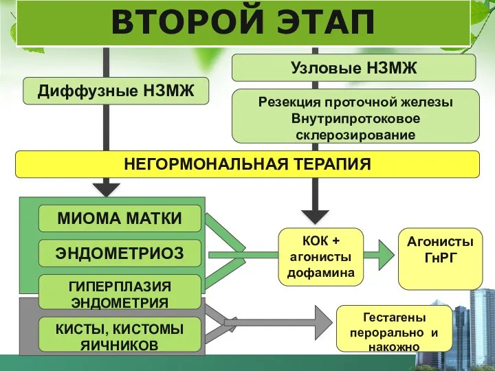 Диффузные НЗМЖ МИОМА МАТКИ ЭНДОМЕТРИОЗ ГИПЕРПЛАЗИЯ ЭНДОМЕТРИЯ КИСТЫ, КИСТОМЫ ЯИЧНИКОВ Узловые