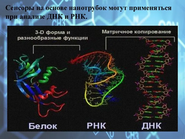 Сенсоры на основе нанотрубок могут применяться при анализе ДНК и РНК.