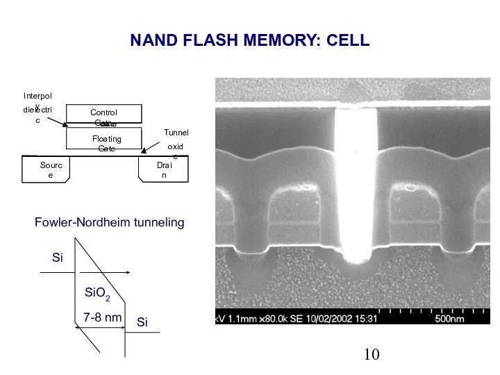 NAND FLASH MEMORY: CELL Drain Source Control Gate Interpoly Drain Source