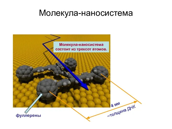 Молекула-наносистема Молекула-наносистема состоит из трехсот атомов. фуллерены 4 нм ~толщина ДНК