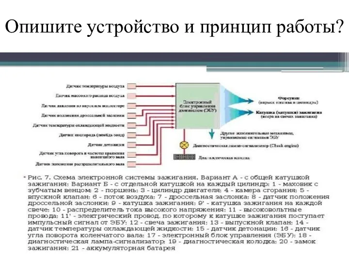 Опишите устройство и принцип работы?