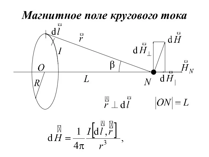 Магнитное поле кругового тока