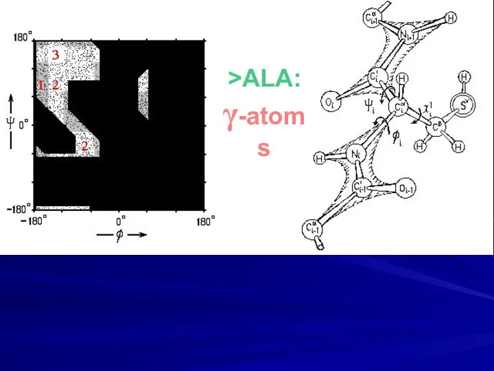 >ALA: γ-atoms