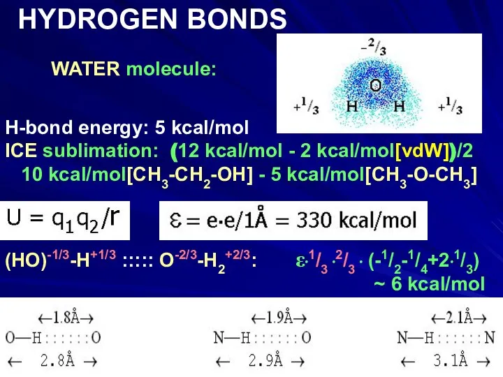 WATER molecule: HYDROGEN BONDS H-bond energy: 5 kcal/mol ICE sublimation: (12