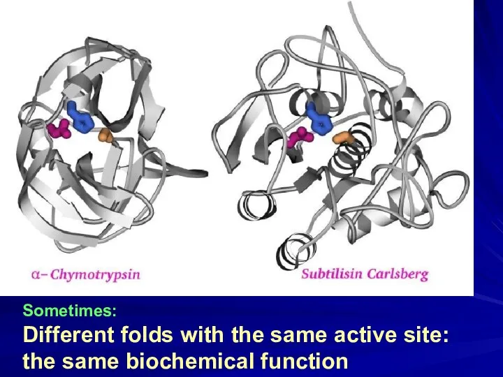 Sometimes: Different folds with the same active site: the same biochemical function