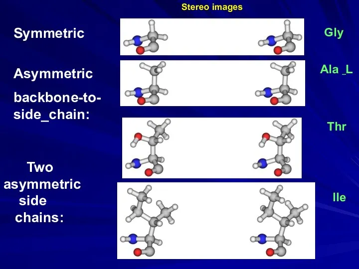 Ala _L Gly Thr Ile Two asymmetric side chains: Symmetric Asymmetric backbone-to- side_chain: Stereo images