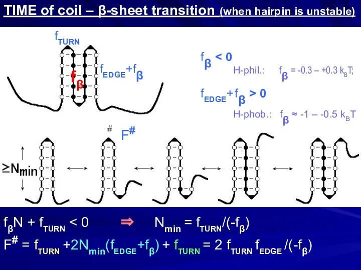 TIME of coil – β-sheet transition (when hairpin is unstable) fβ