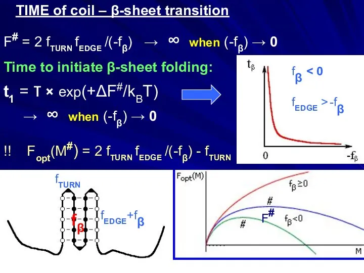 TIME of coil – β-sheet transition fβ fTURN fEDGE+fβ F# F#