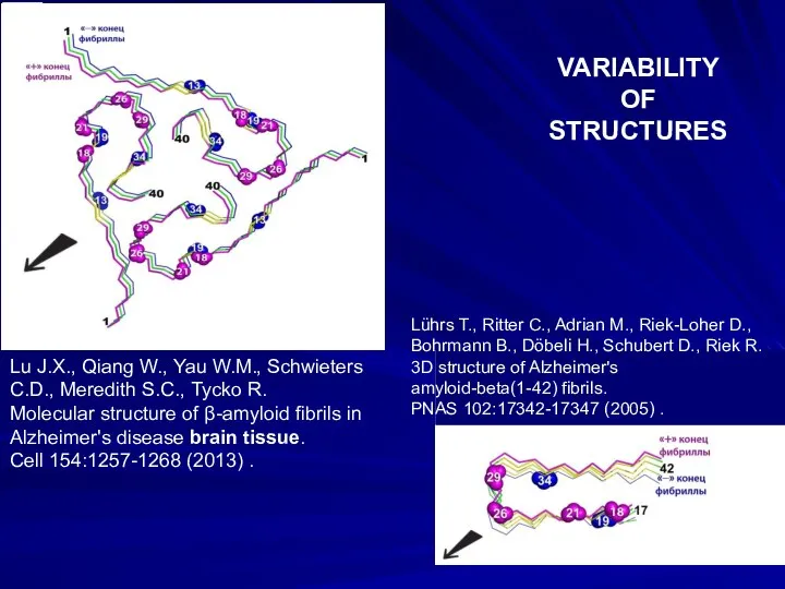 Lu J.X., Qiang W., Yau W.M., Schwieters C.D., Meredith S.C., Tycko