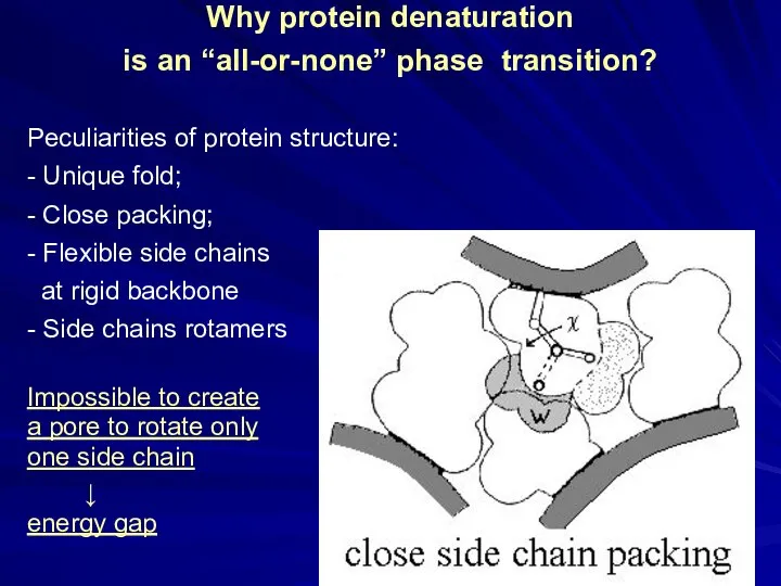 Why protein denaturation is an “all-or-none” phase transition? Peculiarities of protein