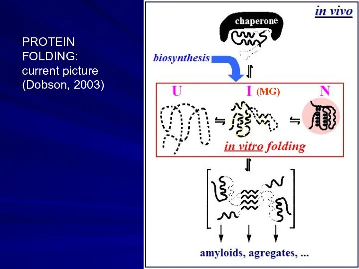 e PROTEIN FOLDING: current picture (Dobson, 2003) (MG)