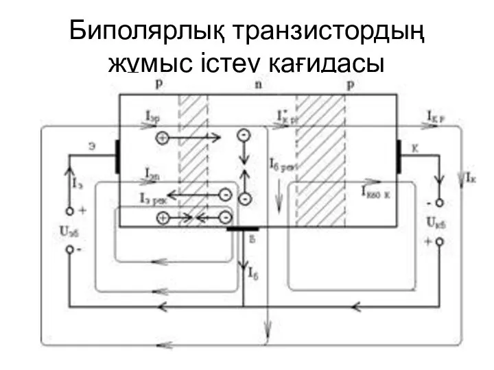 Биполярлық транзистордың жұмыс істеу қағидасы