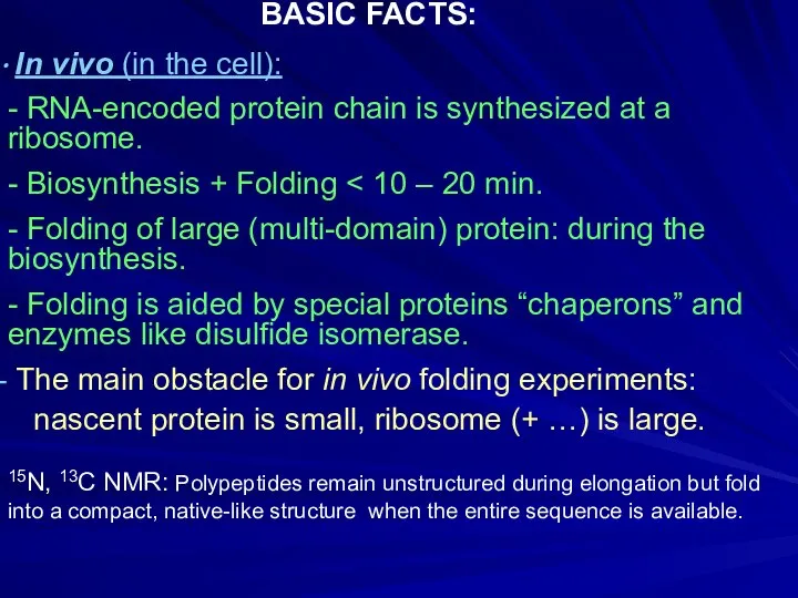 In vivo (in the cell): - RNA-encoded protein chain is synthesized