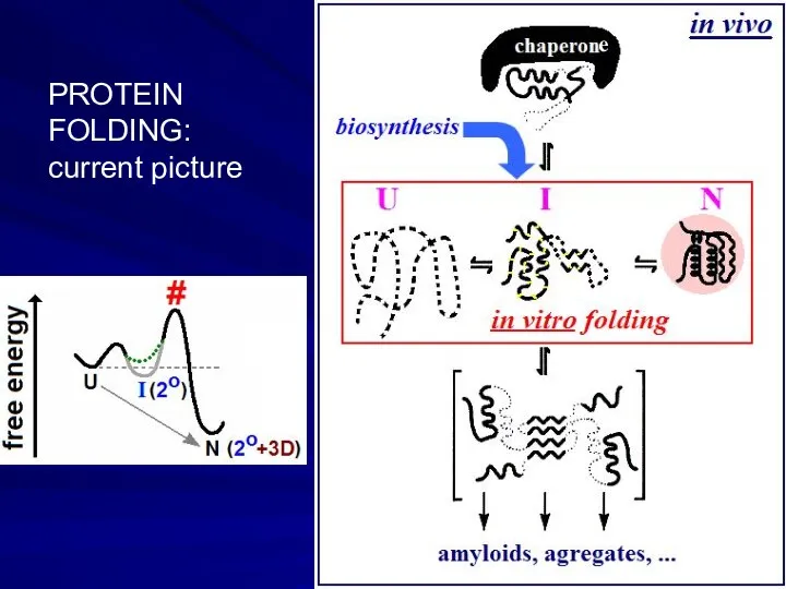 e PROTEIN FOLDING: current picture