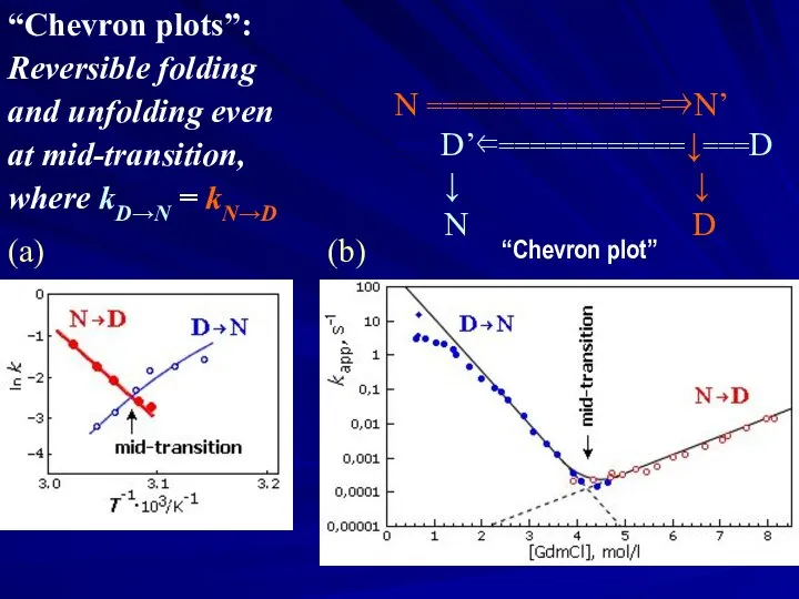 “Chevron plots”: Reversible folding and unfolding even at mid-transition, where kD→N