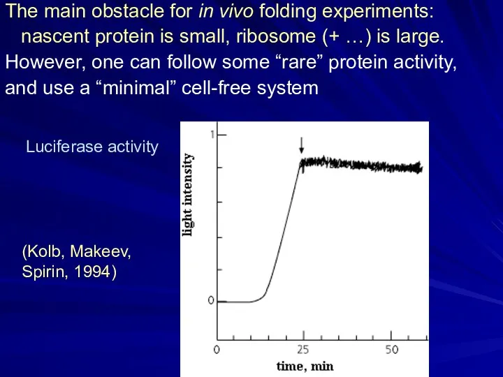 The main obstacle for in vivo folding experiments: nascent protein is