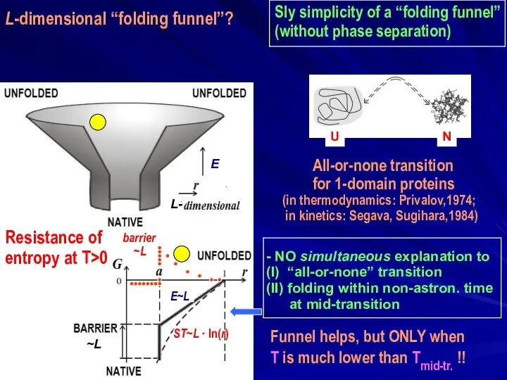 Sly simplicity of a “folding funnel” (without phase separation) - NO