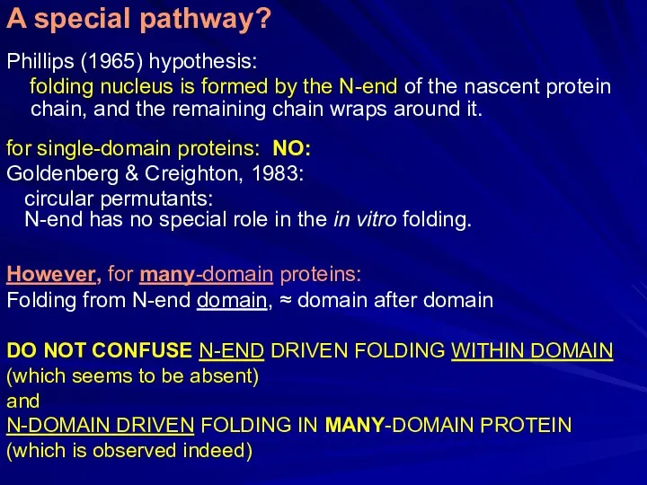 Phillips (1965) hypothesis: folding nucleus is formed by the N-end of