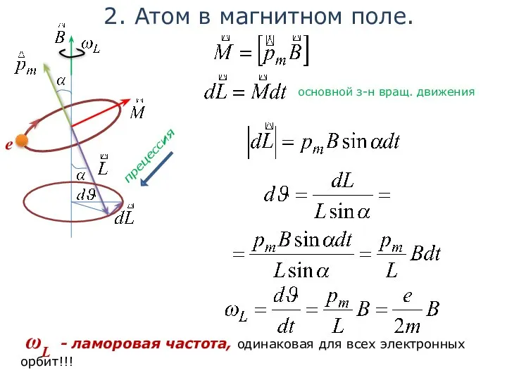 2. Атом в магнитном поле. ωL - ламоровая частота, одинаковая для